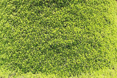 专业摔跤游戏《WWE 2K23》新预告片分享