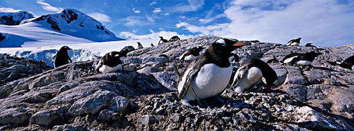 传《星空》发布会下周公布